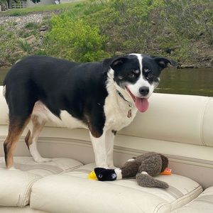 Meet your Posher, Daniel